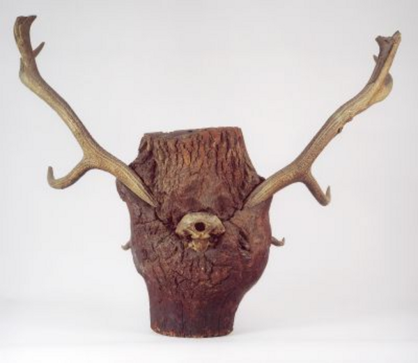 Stag antlers in a tree stump, displayed in Königs Wusterhausen Palace, on loan from the Museum für Naturkunde Berlin. Foto: Buddensieg